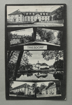 AK Triesdorf / 1917 / Mehrbildkarte / Kgl Kreisackerbauschule / Rotes Schloss / Gasthaus zum Adler / Reithalle / Kavalierhäuschen